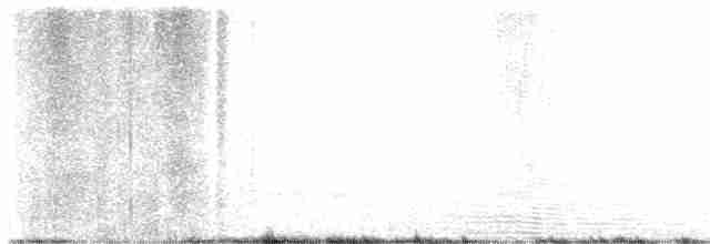 Sperlingsvogel, unbestimmt - ML619618043