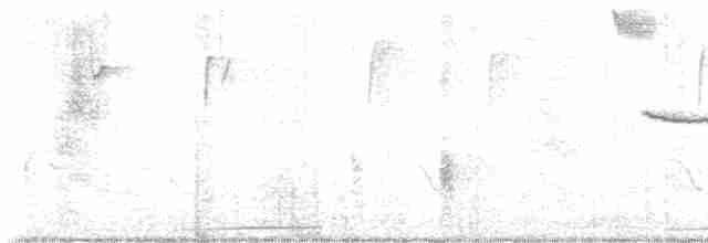 holoubek vrabčí - ML619618140