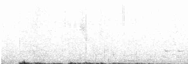Méliphage carillonneur - ML619618219