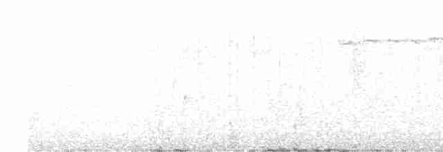 מלכילון לבן-גבות - ML619618514