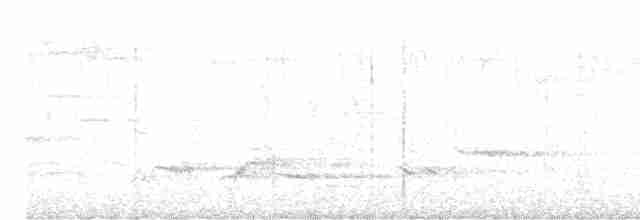 גדרון מובהק - ML619618520