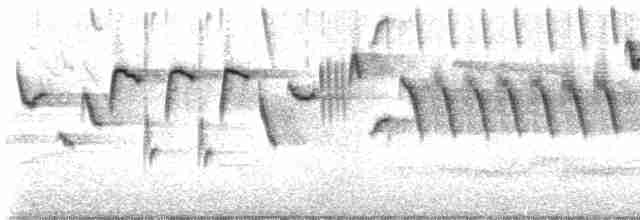 Eurasian Wren - ML619618624