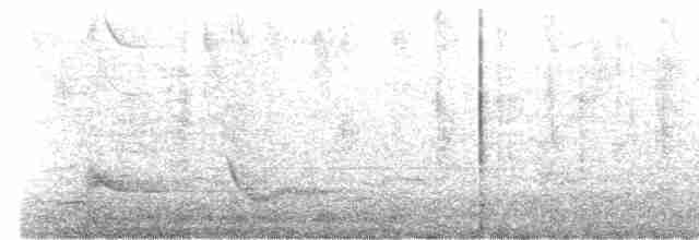 Soluk Göğüslü Ardıç - ML619618644