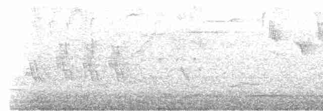 Бледногрудый дрозд - ML619618729