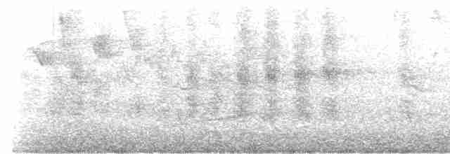 Бледногрудый дрозд - ML619618730