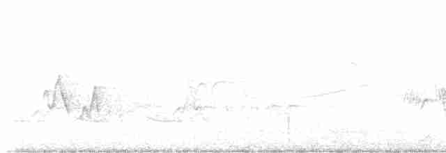 Cerulean Warbler - ML619619191