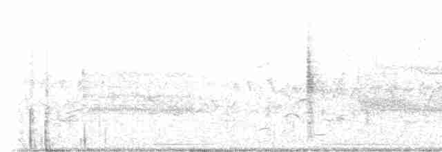 Troglodyte des marais - ML619619685