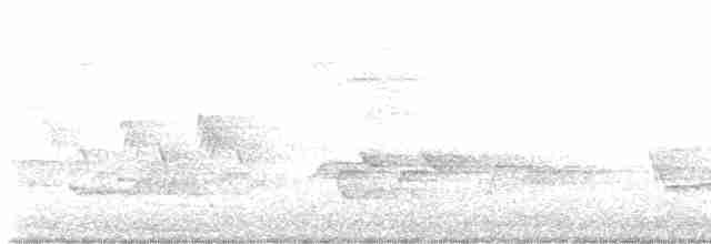 Черногорлая хвойница - ML619619893
