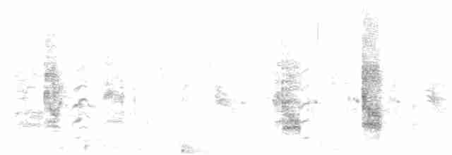 黑腹燕鷗 - ML619620127