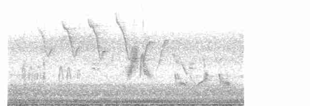Moucherolle des aulnes ou M. des saules - ML619620333
