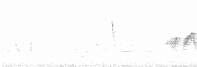 Ивовый мухолов - ML619620568