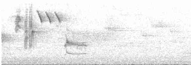 Common Redstart - ML619621112