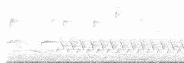 Чернокрылая пиранга - ML619621671