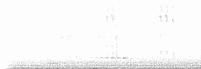 Black-chinned Hummingbird - ML619622385