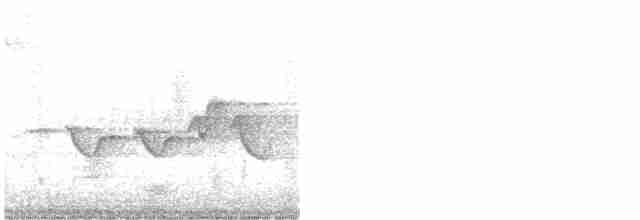 Hooded Warbler - ML619622556