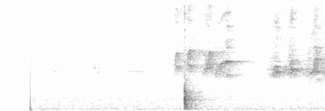 סנונית רפתות - ML619622882