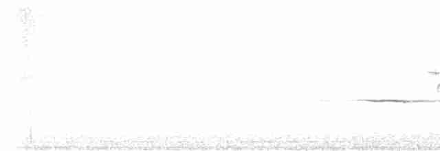 Münzevi Bülbül Ardıcı - ML619623095