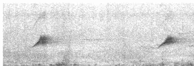 Зяблик звичайний - ML619623597