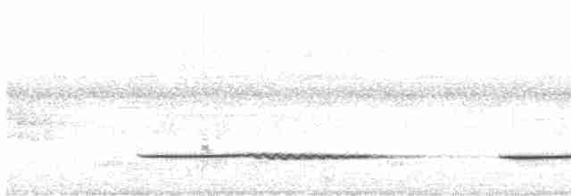 Little Tinamou - ML619623650