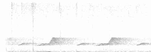 Schwarzkehl-Nachtschwalbe - ML619624305