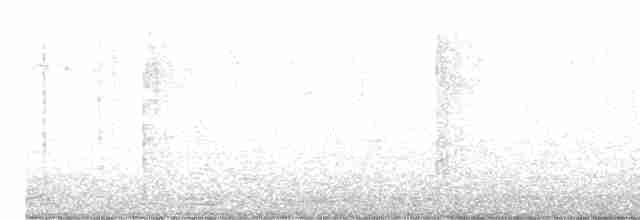 Черная горихвостка - ML619624396