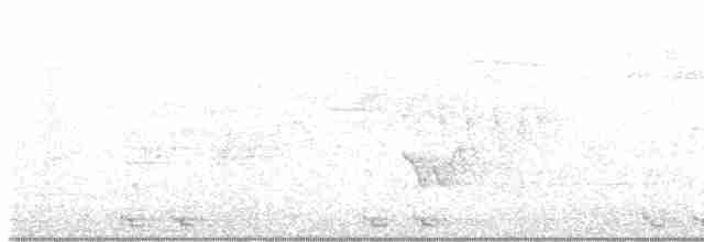 Black-billed Cuckoo - ML619624554