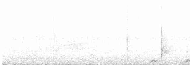 Chouette mouchetée (groupe virgata) - ML619624608
