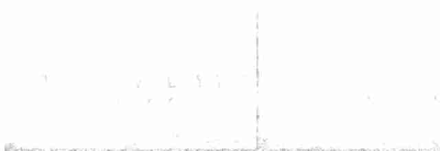 Common Yellowthroat - ML619624728