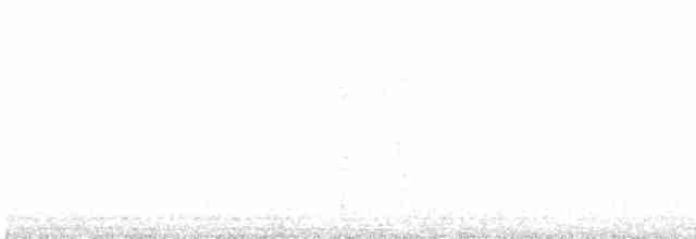 Ушастая сова - ML619625013
