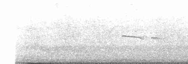 Тиранчик-тонкодзьоб південний - ML619625730