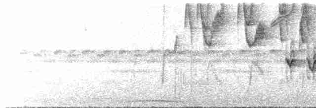 gullkronekjerrspurv (crassus) - ML619625774