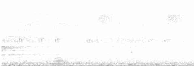 Paruline vermivore - ML619625957