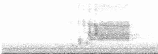 vlhovec červenokřídlý - ML619626159