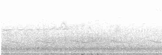 Bruant sauterelle - ML619626523