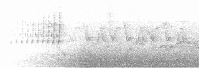 Troglodyte des marais - ML619627582