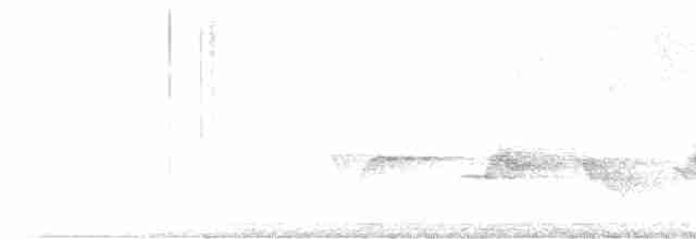 Kara Kanatlı Piranga - ML619627804