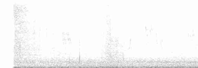 Common Yellowthroat - ML619627954