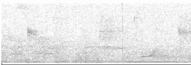 Çilli Göğüslü Çıtkuşu - ML619628017