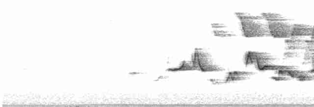 Віреон світлобровий (підвид gilvus) - ML619628212