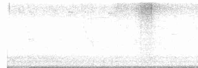 tyranovec vrbový - ML619628215