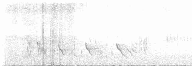 Büyük Mor Kırlangıç - ML619628369