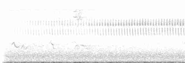 Cırcır Sesli Serçe - ML619628524