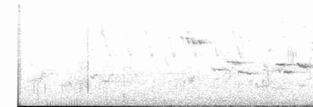 Papamoscas de Tickell - ML619629052