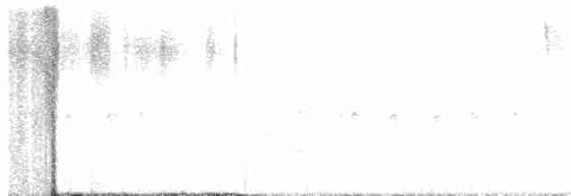 Шишкар ялиновий - ML619629436