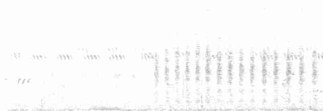 Woodchat Shrike - ML619629695