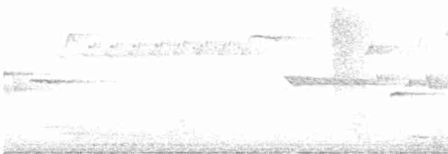 střízlík kanadský - ML619629925