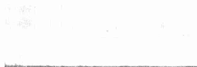 Rostscheitelammer - ML619630169