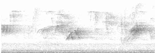 Kara Kanatlı Piranga - ML619630447