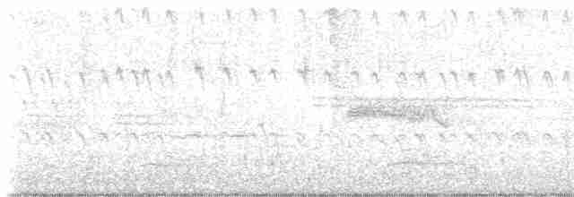 strakapoud osikový - ML619630522