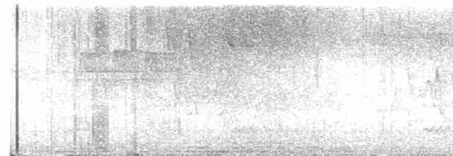 Kara Kanatlı Piranga - ML619630577